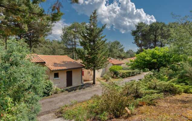 Les Cracks - Les As - Photo 19