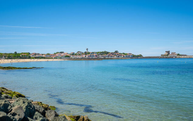 Domaine Iratzia - Photo 40