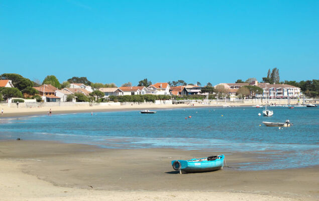 Mandarine - Photo 19