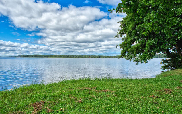 Club de la Voile - Photo 30